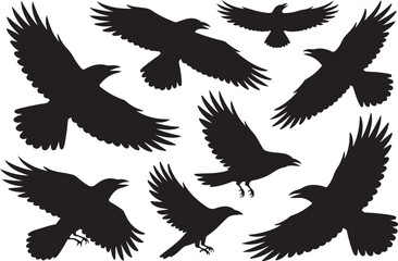 Collection of black crow silhouettes in flight against a white background