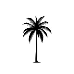 Tropical Palm Tree Vector Illustration Design