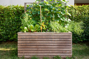 Raised Bed for Climbing Plants. Modern High Wooden Garden Bed for Growing Vegetables and Herbs in Urban Landscape Design. 