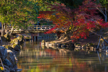日本の風景・秋　奈良公園の紅葉　鷺池