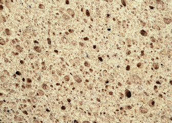 Unique texture of porous stone with varied surface and natural colors found in geological formations