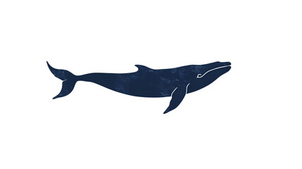 Obraz premium transparent background whale