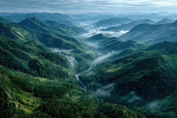 Lush green mountain range in Munnar, India is partially covered in fog, creating a scenic, atmospheric view during the day