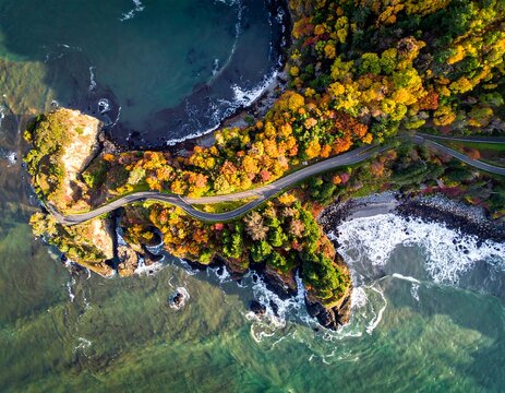 Coastal autumn vista, aerial view