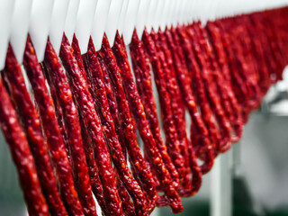 Cured sausage hanging in a food processing facility during daylight hours