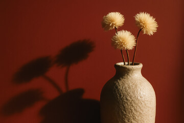 Rustic ceramic vase with three fluffy dried flowers casting deep shadows on terracotta wall, warm afternoon light, cozy wabi-sabi mood — generative AI