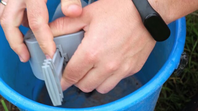 Mole in a trap in the hands of a gardener against the backdrop of a lawn, close-up video. Putted in bucket. High quality 4k footage.