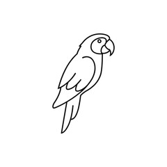 Fototapeta premium A detailed line drawing of a parrot perched, showcasing its features against a plain background
