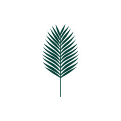 A vibrant green palm leaf against a clean white background, symbolizing nature and tranquility