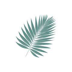 A vibrant green palm leaf gracefully positioned against a clean white background, ideal for nature-themed designs