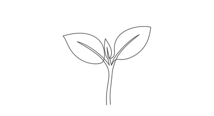 Simple line drawing of a young plant with two leaves.