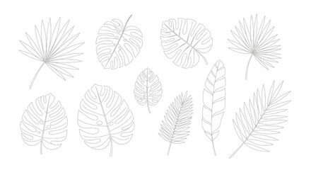 Delicate line art illustration of various tropical leaves, showcasing detailed botanical elements.