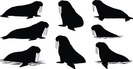Black walrus silhouettes collection, marine animal vector illustration, arctic wildlife design, sea mammal shapes, ocean nature clipart, aquatic creature icons