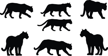 Black panther silhouette walking and standing poses, wild animal illustration, big cat vector design, wildlife predator graphic, jungle feline artwork