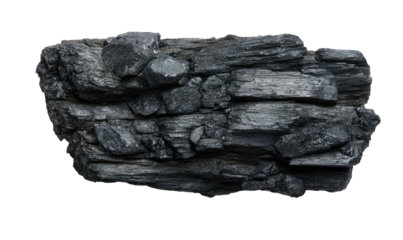 A rough, charcoal-like rock fragment with a textured, segmented appearance against black