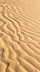 Wind shaped sand ripples creating abstract natural desert texture pattern