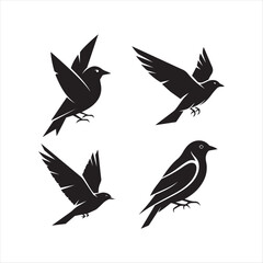 set of vector birds