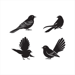set of birds isolated