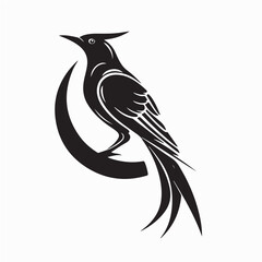 Black Cuckoo Bird Stock Vectors and Vector Art isolated on white background