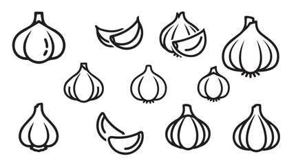 Hand drawn garlic elements isolated simple sketch collection culinary ingredient art vector