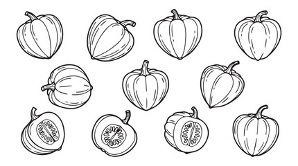 Hand drawn outline collection of pumpkins and gourds for autumn harvest and halloween design vector