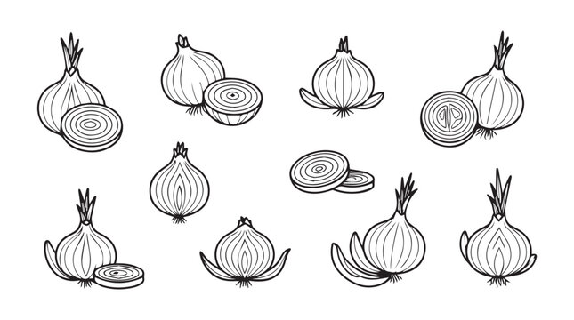 Hand-drawn fresh onions and sliced cross-sections arranged in a decorative collection vector