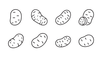 Collection of hand drawn potatoes various angles simple line art agricultural food ingredients vector