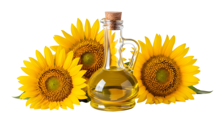 Fresh sunflower oil in a glass bottle surrounded by bright yellow sunflowers against a for natural health and beauty products on transparent background