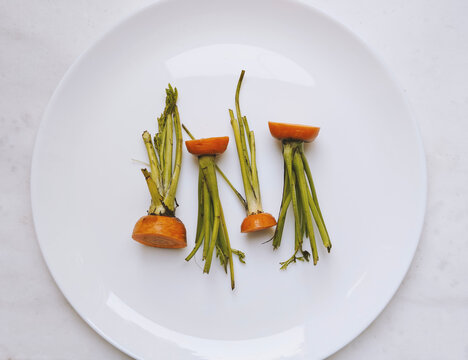 Carrot tops, on a white plate. Light background. Environmentally responsible behavior, ecological, recycling waste concept. Zero waste. sustainable consumption and conscious consumption.