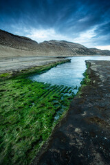 Fototapeta premium Peninsula Valdes coast landscape, World Heritage Site, Patagonia Argentina