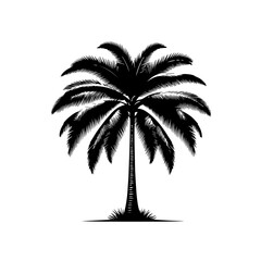 Exotic Tropical Palm Tree Vector Illustration