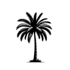 Obraz premium Tropical Beach Palm Tree Vector Illustration