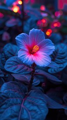 A vibrant hibiscus flower illuminated with blue and pink hues amidst dark green leaves.