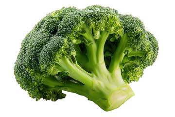Fresh Green Broccoli Head Against Transparent Background Perfect for Nutrition Concepts