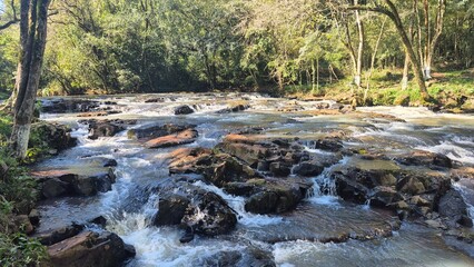 Waterfalls and rivers in the Amazon rainforest
