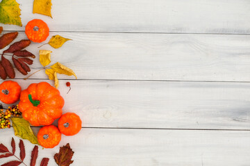 Horizontal autumn composition with pumpkins and fallen colorful leaves on white wooden background with place for text