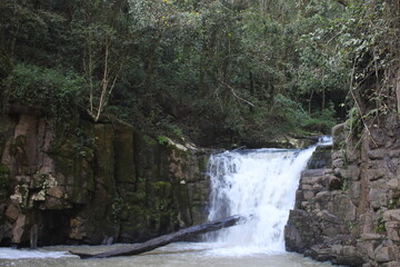 Waterfalls and rivers in the Amazon rainforest
