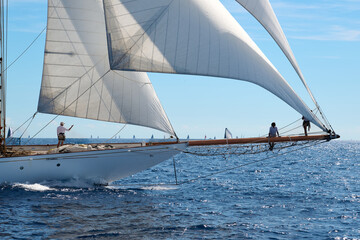 Naklejka premium sailing on the sea