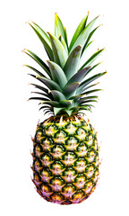 Fototapeta premium Golden Yellow Pineapple with Green Leaves, Glossy Texture on Transparent Background, Tropical Fruit Cutout for Web Design