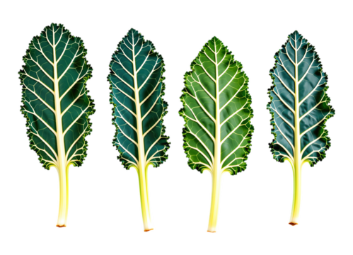 Green Leafy Trees with Glossy Texture, Neon Green Illustration with Transparent Background, Nature Design Element