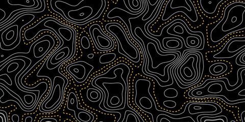 Topographic map pattern background vector. Complex maze-inspired design with expressive black and white line artistry. 