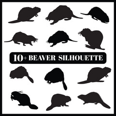 Beaver silhouette set box icon Beaver illustration silhouette Beaver