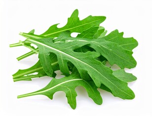 Fresh Arugula Leaves with Peppery Flavor Isolated on Light Background for Leafy Vegetable Object and Healthy Salad Ingredient Concept