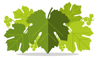 Lush Green Grapevine Foliage with Clusters of Unripe Grapes: A Flat Design Vector Illustration of Abundant Leaves and Berries, Representing Viticulture and Fresh Produce