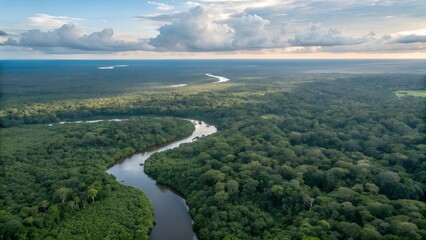 Aerial view of Amazon rainforest in Brazil, South America. Green forest. Bird's-eye view.