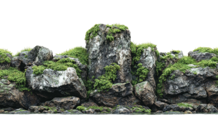 Textured stone formations overgrown with vibrant green vegetation against a dark, void background