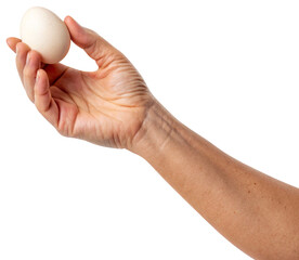 hand holding with egg white background