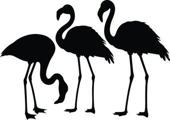 flamingo vector silhouette, Vector black flamingo silhouette, Flamingo Silhouette Vector Illustration