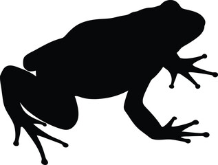 frog silhouette, Frog Silhouette Vector Illustration.