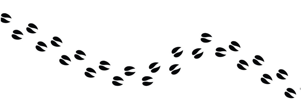 Silhouettes of animal footprints of goat – black vector tracks of birds, reptiles, and mammals. includes paw prints, hoof marks, and steps from wolf, duck, frog design in eps 10.